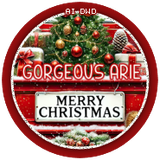 sy ChristmasDaysavGorgeousArie vi