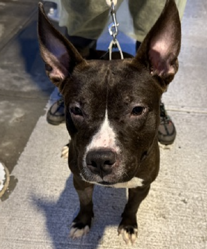 G QReVpasAEPDCP?format=png.png