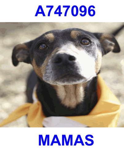 G UjS3OWIAA jU ?format=jpg.jpg