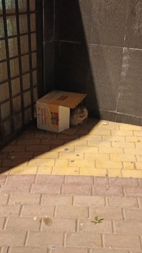 G dxQrPWIAANrvP?format=jpg.jpg