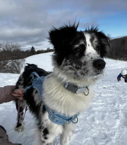 G Z5CkmWgAA6q X?format=jpg.jpg