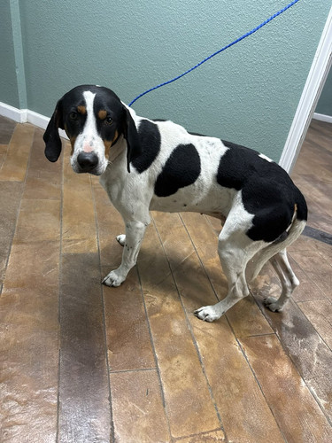 G Z5CkhXIAARad9?format=jpg.jpg