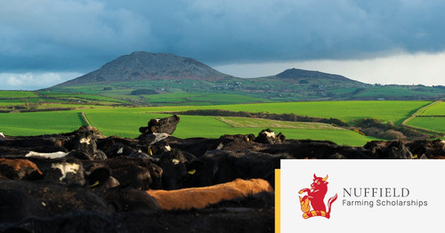 G eEHt1XEAAS5m7?format=jpg.jpg