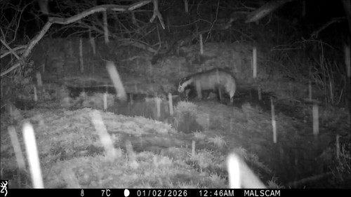 FzYKZmwlOtSEH 70.jpg