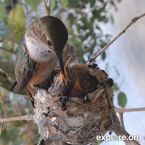 ejIbDSMKp2s Lklu.jpg