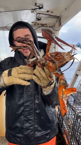 4AsfMJzK0k 5IsRY.jpg