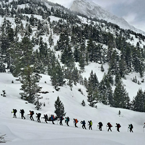 G diUCpWAAAu3vy?format=jpg.jpg