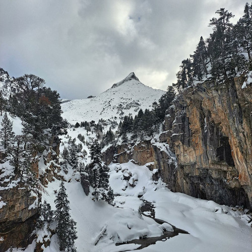 G diDZNXwAAhNL8?format=jpg.jpg