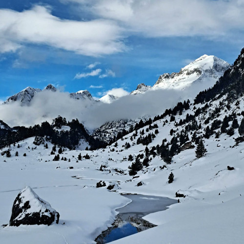 G diMZiXMAAG7iU?format=jpg.jpg