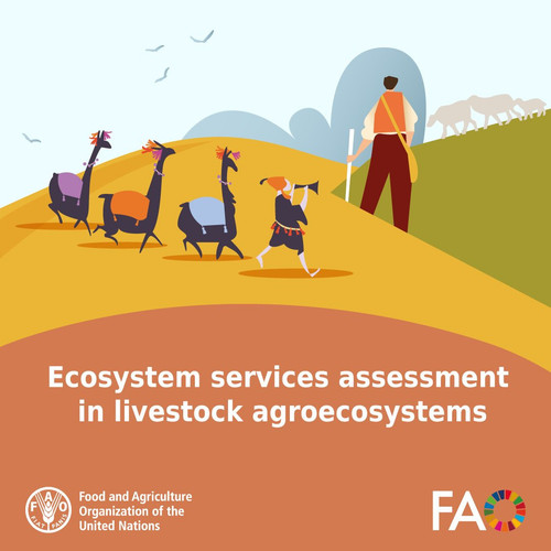 G d2AeNXYAAUvbB?format=jpg.jpg