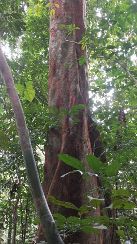 G XbIMGXUAAoatk?format=jpg.jpg