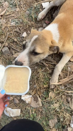 Rcs3w1Lo s3UoTOp.jpg