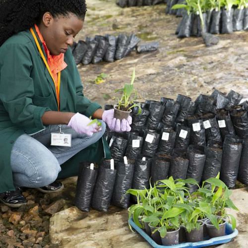 G d5RLvXUAAsS7L?format=jpg.jpg