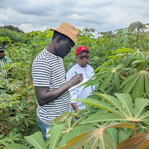 G d5RMMXAAAKubi?format=jpg.jpg