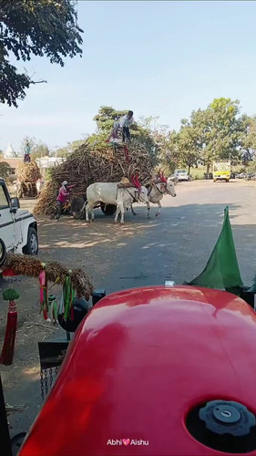 UVSQAVfCgY7DzYR .jpg