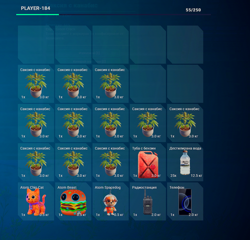 Medal 3OZjVxJv5h.png