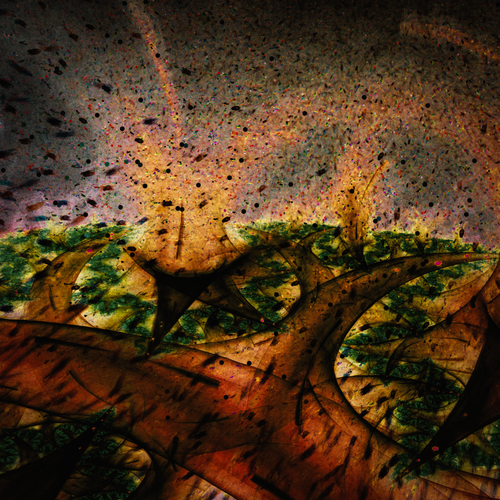 Like The Weather.png