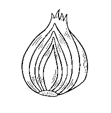 Onion Base.png
