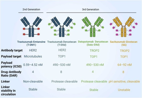 G dwOcCXYAAJ6Uv?format=jpg.jpg
