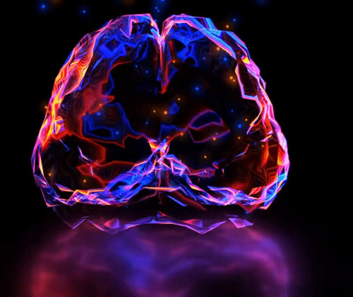 4vrjrMR w3cQq3XT.jpg