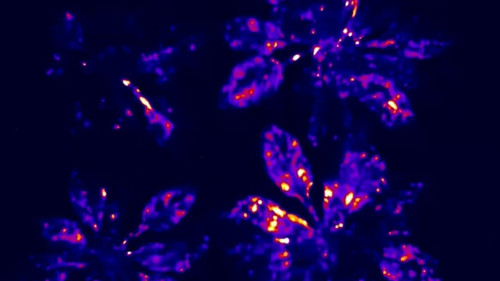 iQL7C 8h ArwZDNR.jpg