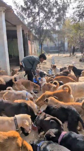 zuCSW3czHS4Wby x.jpg