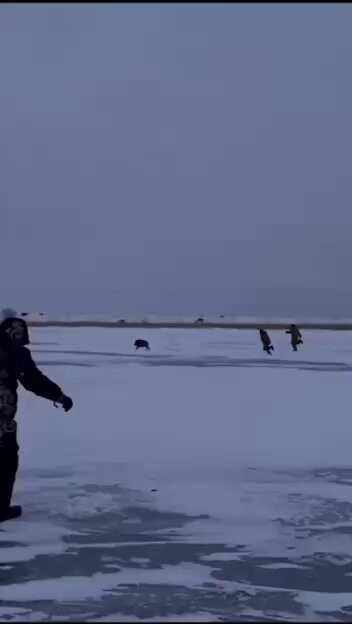 73K LfJhzBjEZhwt.jpg