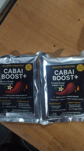 WhatsApp Image 2026 01 13 at 00.48.03.jpg