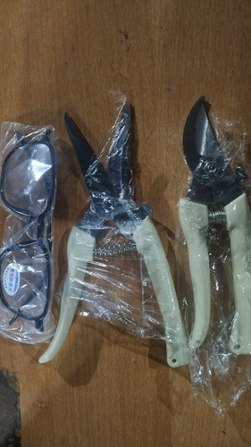 WhatsApp Image 2026 01 13 at 00.53.11.jpg