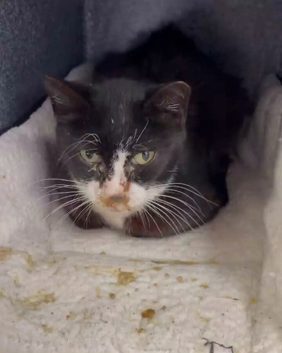 yytwdzSVsmw2sIp .jpg