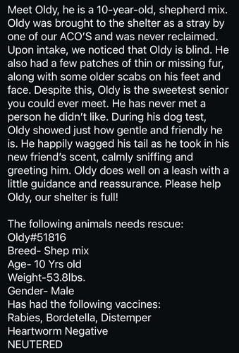 G ZTF7lWAAA5y8k?format=jpg.jpg