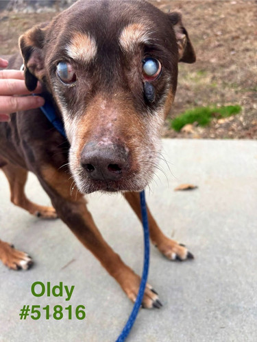 G ZTF7pXEAA6f3B?format=jpg.jpg