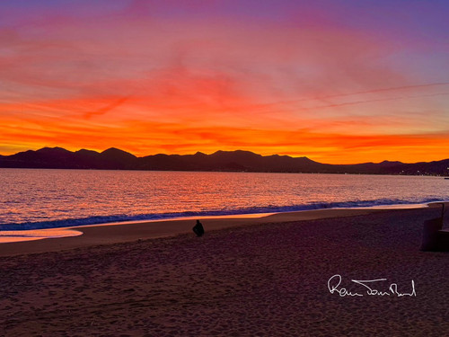 G ZpnjFW8AEDQGi?format=jpg.jpg