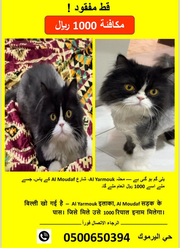 G S 2zzXcAAEmHH?format=jpg.jpg