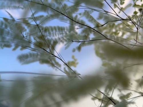 frame horizontal 012.jpg