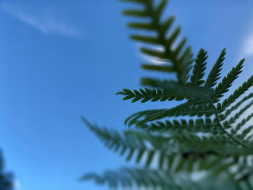 frame horizontal 023.jpg