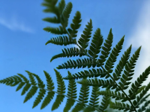 frame horizontal 024.jpg