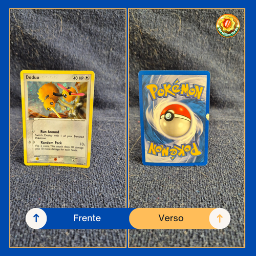 360f6d87 b8b3 4422 a3de c0dc8c942ff9.png