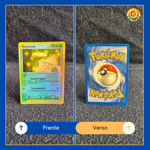 86ef1123 e347 41ac 8bd0 84a7296673c3.png