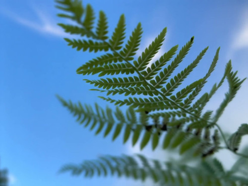 frame horizontal 018.jpg