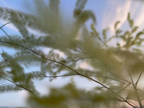 frame horizontal 009.jpg