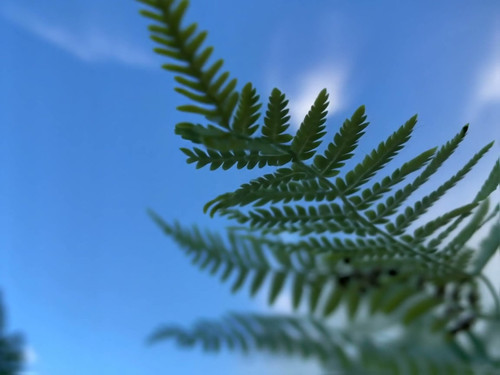 frame horizontal 021.jpg