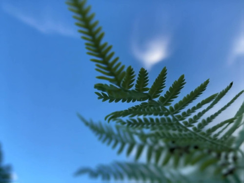 frame horizontal 022.jpg