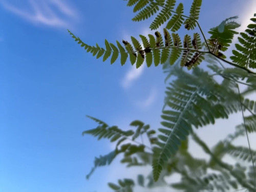 frame horizontal 015.jpg