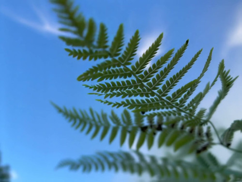 frame horizontal 019.jpg