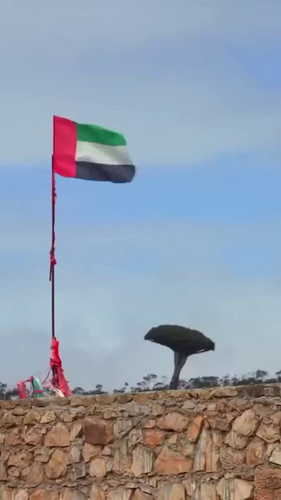 nhiu oDkSD 8o898.jpg