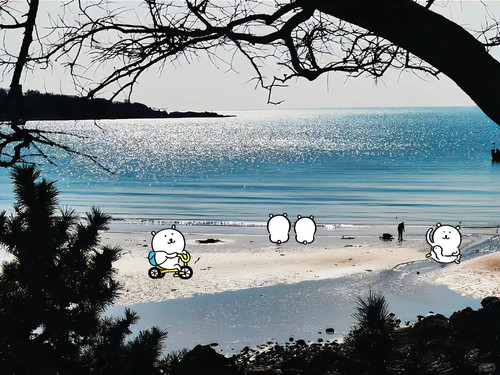 自嘲熊iPad壁纸 1 菲比小铺（首页进群） 来自小红书网页版