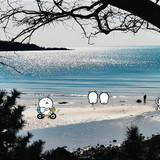 自嘲熊iPad壁纸 1 菲比小铺（首页进群） 来自小红书网页版