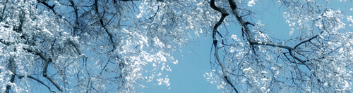 截屏 2025 12 31 21.30.46.png