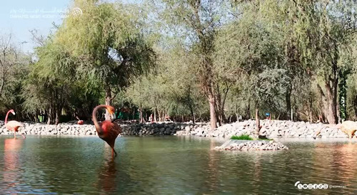 7mhQi2zTYOB 7HX .jpg